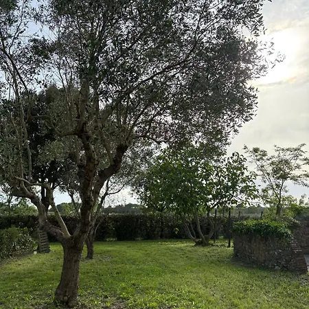 Lägenhet Rustico Sant'emilio