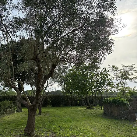 Apartment Rustico Sant'emilio