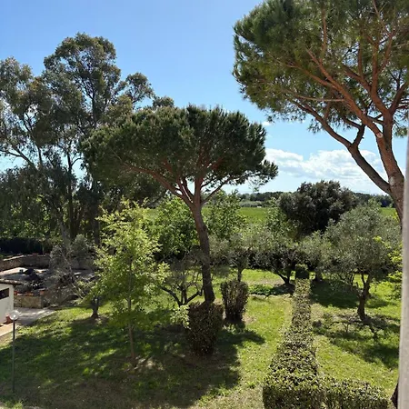 Apartment Rustico Sant'emilio Riotorto