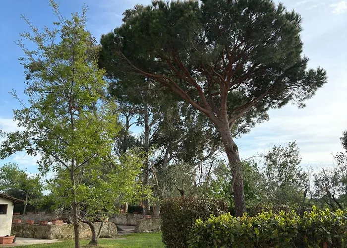 Apartament Rustico Sant'emilio *