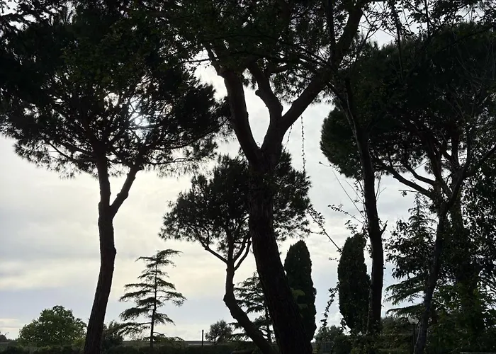 Apartament Rustico Sant'emilio Riotorto