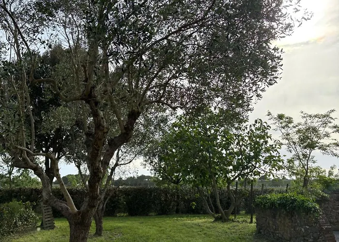 Apartament Rustico Sant'emilio